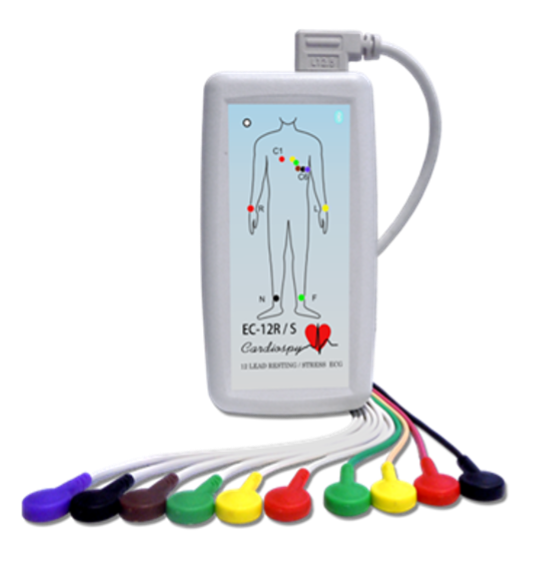 Holter EKG